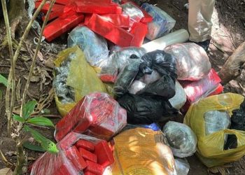 Recôncavo: Ação conjunta das polícias apreende drogas em Nazaré