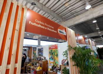 Fenagro movimenta agronegócio baiano com serviços disponibilizados pelo Estado