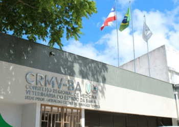 Conselho Regional de Medicina Veterinária da Bahia abre concurso com salários de até R$ 8 mil; veja cargos disponíveis