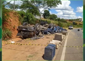 Caminhão carregado com mangas capota na BR-030 em Caetité