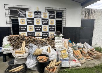 Grande operação contra fabricação irregular de espadas e fogos mobiliza forças de segurança em Cruz das Almas