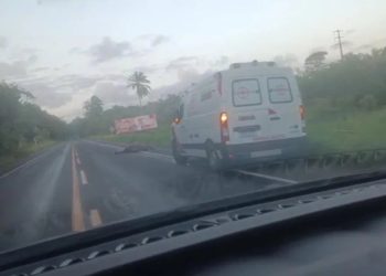 Ambulância colide com cavalo na BA-001, em Vera Cruz
