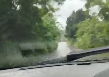 Descaso: Vegetação invade pista na BA-026 e coloca vidas em risco entre SAJ e Amargosa