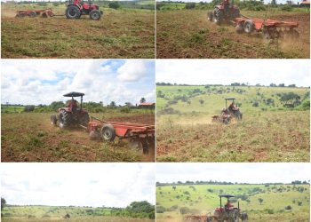 SAPEAÇU: Prefeitura fortalece agricultura com serviços do trator