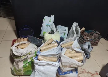 Muritiba: PM apreende 60 kg de pólvora e desarticula fábrica clandestina de espadas