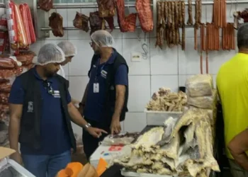 S. A. de Jesus e outras cidades registram apreensão de mais de uma tonelada de carnes impróprias durante operação do Procon-BA