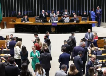 Eleições 2026: Veja a lista dos Deputados Federais eleitos pela Bahia